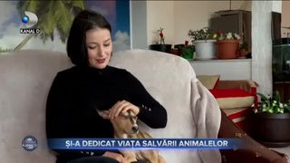 Și-a dedicat viața salvării animalelor