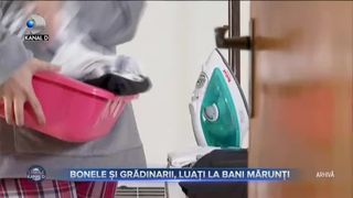 Bonele și grădinarii, luați la bani mărunți