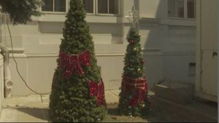 VIDEO | &Icirc;n plin cod galben de caniculă, un primar face licitații pentru cumpărarea unor brazi de Crăciun