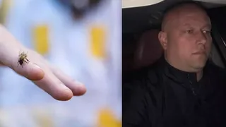 Bărbat de 40 de ani din Iași, decedat după ce a fost înțepat de o albină