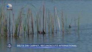 Delta din Carpați, recunoscută internațional