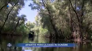 Apariție periculoasă în Dunăre