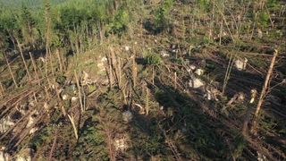 Imagini apocaliptice au fost surprinse în România, unde un vârtej extrem de rar a făcut prăpăd 