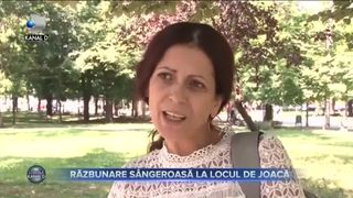 Razbunare sangeroasa la locul de joaca