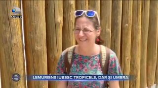 Lemurienii iubesc tropicele, dar și umbra