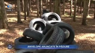 Anvelope aruncate în pădure