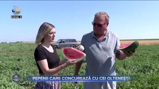 Pepenii care concurează cu cei oltenești