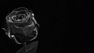 pilar bardem a murit la 82 de ani