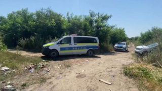 el este florin unchiul care și-a ucis nepoata