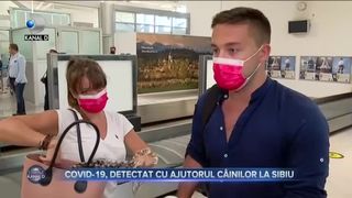 COVID-19, detectat cu ajutorul câinilor