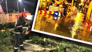VIDEO - O furtună puternică a făcut ravagii în Cluj-Napoca
