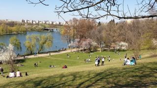 O femeie a dispărut &icirc;n plină zi dintr-un parc din Capitală