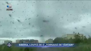 Siberia - lovită de o tornadă de ț&acirc;nțari