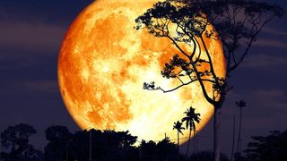 Luna Plină iulie 2021. Horoscop săptămânal 19-25 iulie 2021