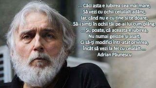 Cum arată casa &icirc;n care s-a născut și a copilărit Adrian Paunescu. Locuința din Copaceni a fost renovata și deschisă publicului