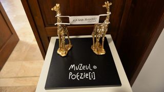 Cinci muzee noi se vor deschide la Iași