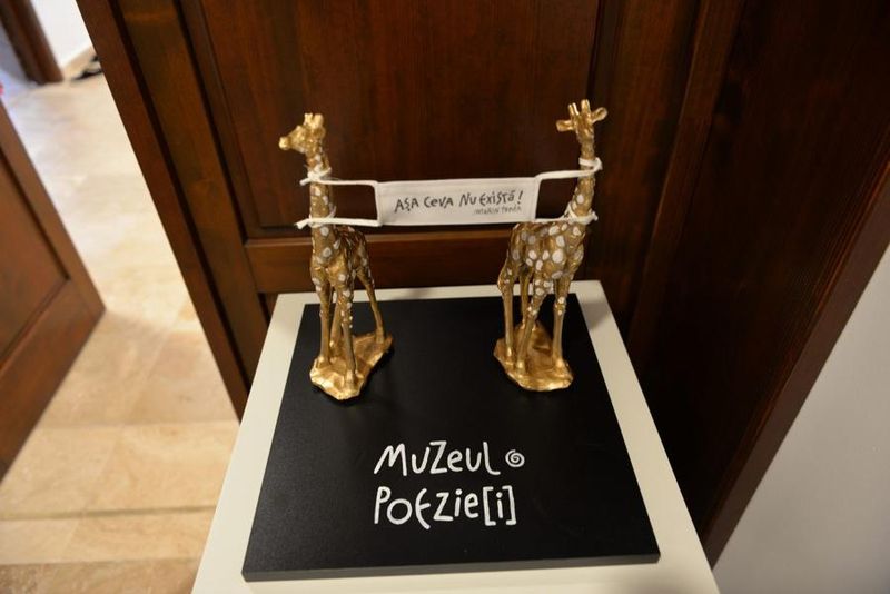 Cinci muzee noi se vor deschide la Iași