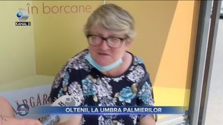 Oltenii, la umbra palmierilor