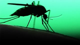 Bărbat diagnosticat cu Malarie vacanta africa