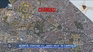 Alerta - Tantari cu West Nile in Capitala