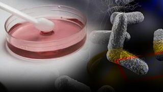 VIDEO| Doi soți au fost diagnosticați cu botulism. Aceștia nu se pot trata în România