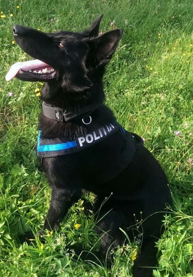 femeie moartă în somn la Constanța