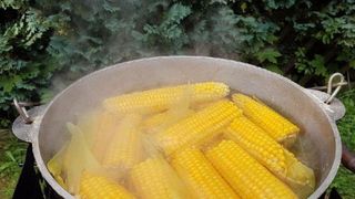 C&acirc;t timp se fierbe porumbul pentru un gust delicios ca &icirc;n copilărie?