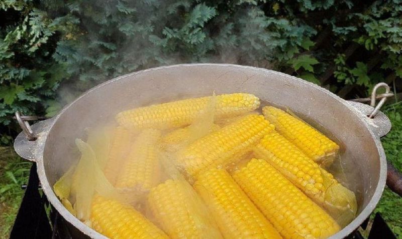 Cât timp se fierbe porumbul pentru un gust delicios ca în copilărie?