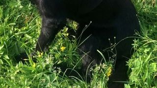 Crimă șocantă: un bărbat a anunțat Poliția că își va ucide cumnata. Cum a avut loc tragedia