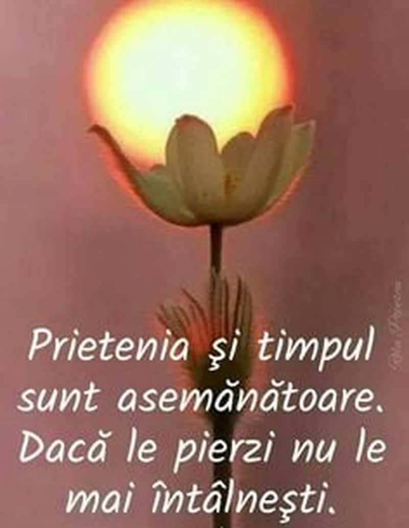 Ziua Internaţională a Prieteniei 2021: Mesaje frumoase şi imagini pentru cei dragi