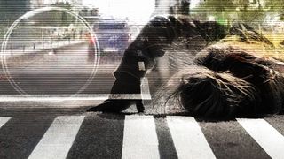 VIDEO | Fetiţa lovită pe trecerea de pietoni