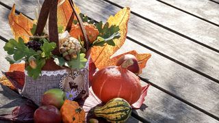 Cât timp se fierbe zacusca de vinete? Reţetă pentru 5 kg de legume