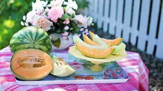 C&acirc;te calorii are un pepene roşu? Dar unul galben?