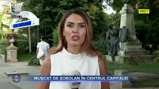 Mușcat de șobolan &icirc;n Centrul Capitalei