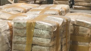 O jumătate de tonă de cocaină, descoperită &icirc;n cutii de banane, l&acirc;ngă București