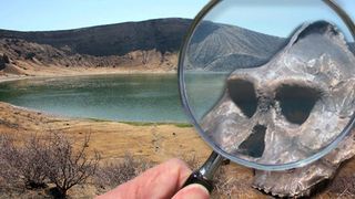 Ce &icirc;nseamnă Hominizi Turkana și care este misterul lui Homo erectus?