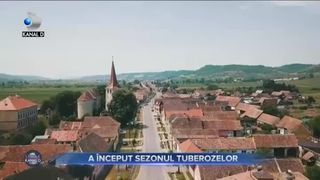 A inceput sezonul tuberozelor