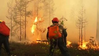 Un alt incendiu de vegetație. Focul a izbucnit în Siberia: „Nu ne amintim să fi existat vreodată o situație atât de gravă precum acum”