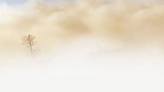 Atenție, șoferi! Ceață densă pe autostrada A2 Bucureşti-Constanţa. Vizibilitatea este redusă