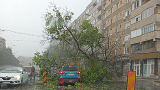 Codul portocaliu de vijelii a măturat mare parte din țară