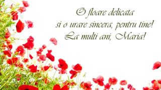 Felicitări de Sf. Maria 2021: Imagini frumoase cu La mulţi ani!