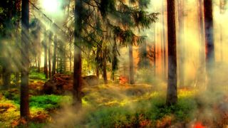 CNSU trimite către Macedonia de Nord, noi forțe pentru a ajuta la stingerea incendiilor de pădure