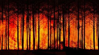 Incendiile violente continuă în Grecia. Pompierii se luptă pentru stingerea flăcărilor în nordul Atenei