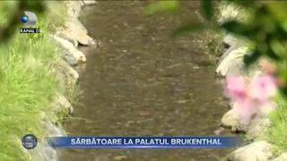 Sărbătoare la Palatul Brukenthal