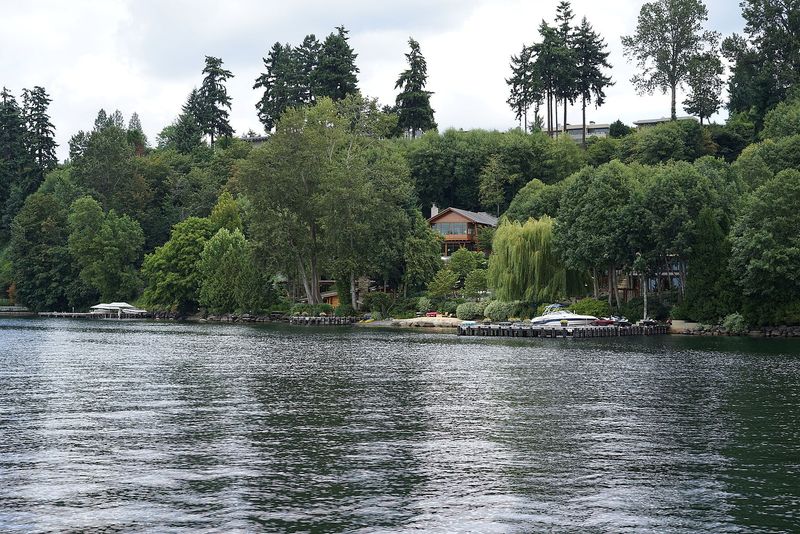 Cum arata casa lui Bill Gates din Washington. A costat peste 120 milioane de dolari