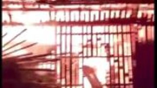 VIDEO | Un t&acirc;năr de 27 de ani a semănat groază &icirc;ntr-o localitate din Suceava, după ce a dat foc mai multor gospodării