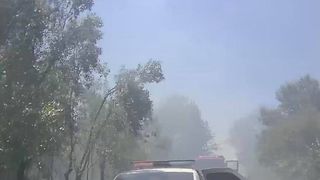 polițist caraș severin lovit &icirc;n trafic