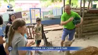 Ferma de cerbi lopătari