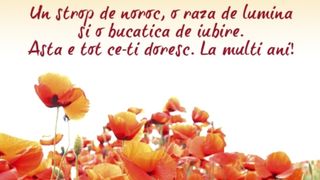 Felicitări de Sf. Maria 2021: Cele mai frumoase imagini cu text