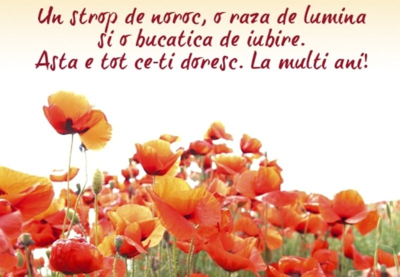 Felicitări de Sf. Maria 2021: Cele mai frumoase imagini cu text